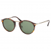 Persol 3166-S 24/31 